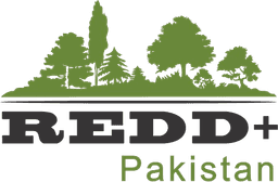 REDD+ Logo